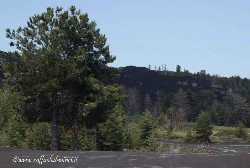 Etna1. 17mag08 (111)_ridimensionare.jpg